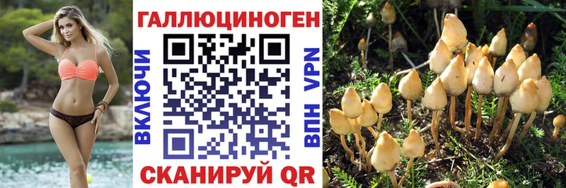 Галлюциногенные грибы Psilocybine cubensis  Демидов 