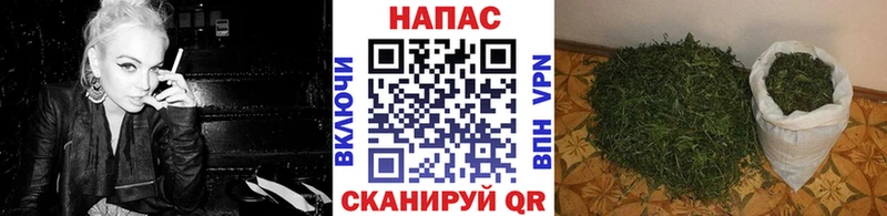 Шишки марихуана индика  Демидов 